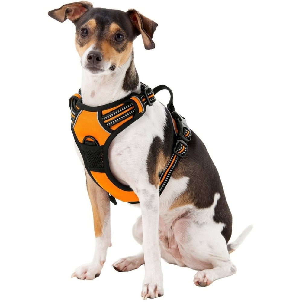 Chai's Choice Orange and Black Reflective Harness